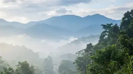 Misty mountains above a forested valley